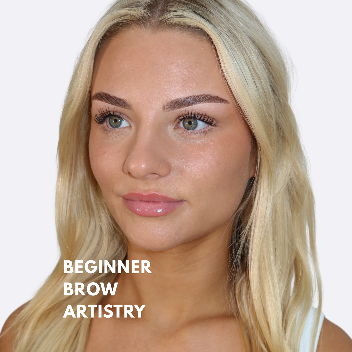 1:1 BEGINNER BROW ARTISTRY