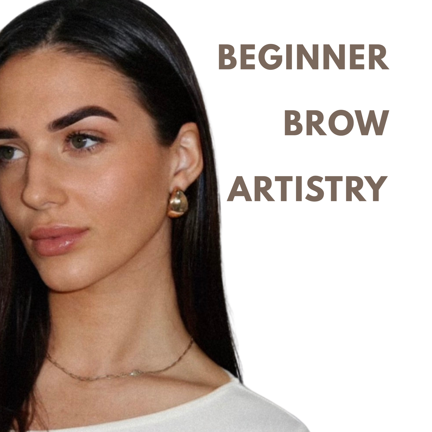 1:1 BEGINNER BROW ARTISTRY