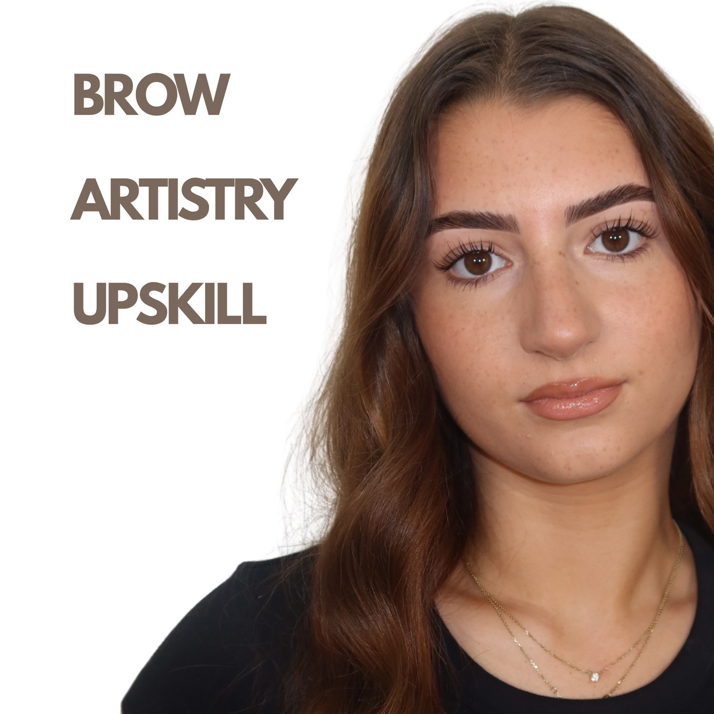1:1 BROW ARTISTRY UPSKILL